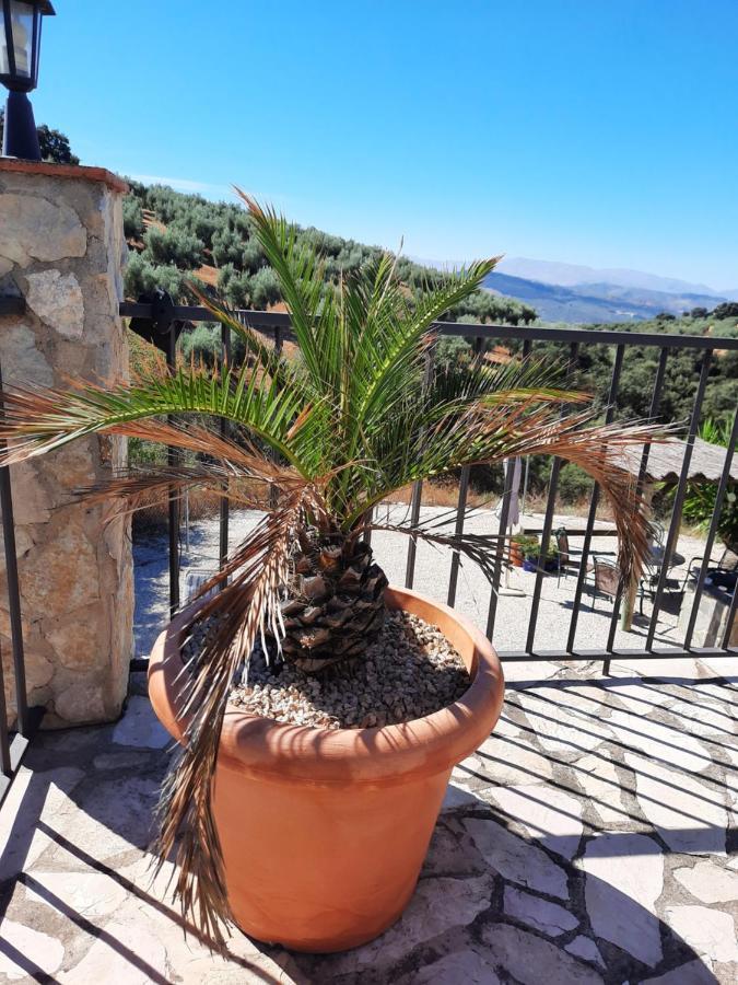 Hacienda La Buena Vida B&B En Appartementen Casita La Bruja Algarinejo Exterior photo