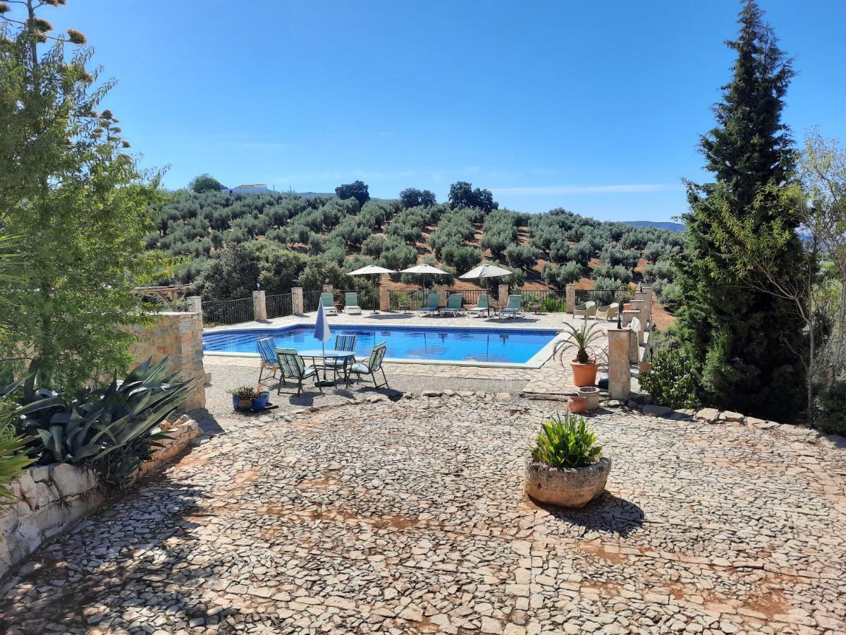 Hacienda La Buena Vida B&B En Appartementen Casita La Bruja Algarinejo Exterior photo