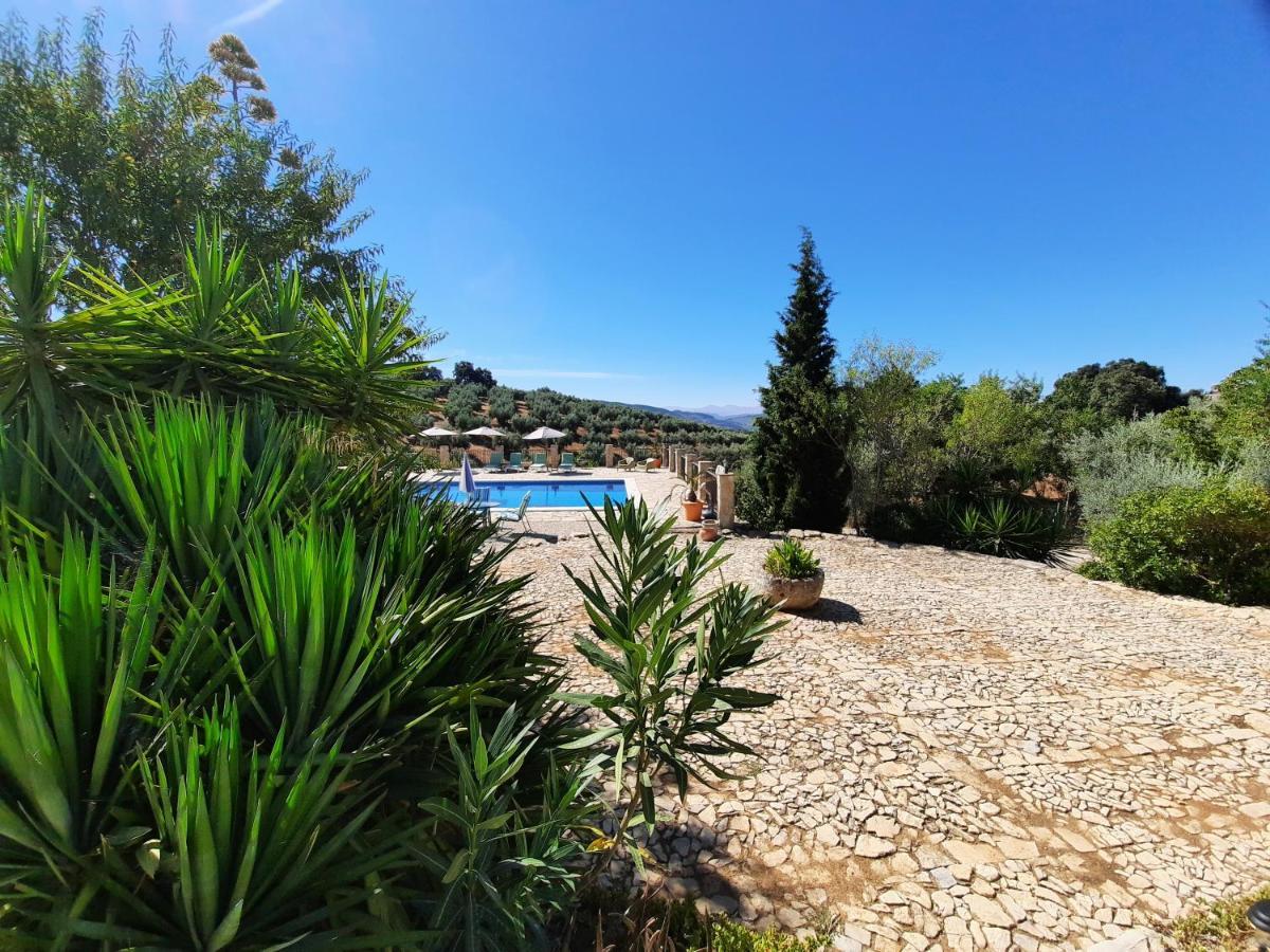 Hacienda La Buena Vida B&B En Appartementen Casita La Bruja Algarinejo Exterior photo